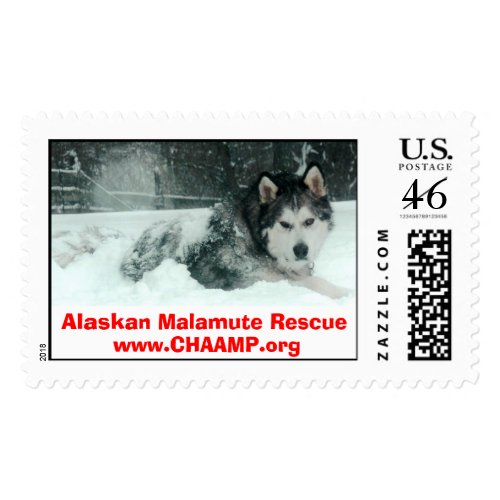 Alaskan Malamute Rescue stamp