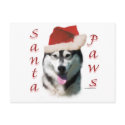 Alaskan Malamute Santa Paws postcards by GreyWolfCreation Alaskan Malamute Santa Paws postcards