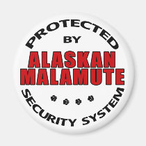 Alaskan Malamute Security magnets