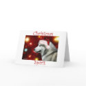 Alaskan Malamute Spirit cards
