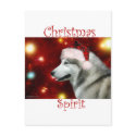 Alaskan Malamute Spirit postcards