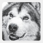 ALASKAN MALAMUTE SQUARE STICKER