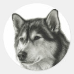 Alaskan Malamute Sticker