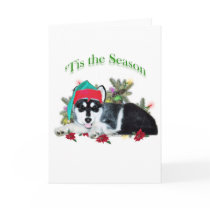 Alaskan Malamute ‘Tis cards by GreyWolfCreation Alaskan Malamute ‘Tis cards