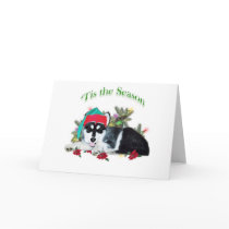 Alaskan Malamute ‘Tis cards