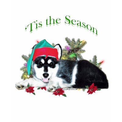 Alaskan Malamute ‘Tis T-shirt by GreyWolfCreation