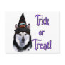 Alaskan Malamute Trick Postcard