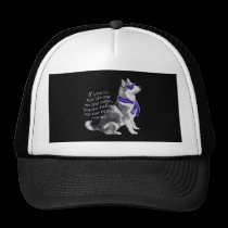 alaskan malamute wagging taiil hats