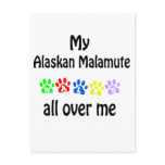 Alaskan Malamute Walks Design Postcard