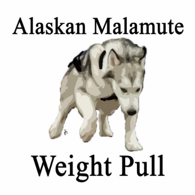 Alaskan Malamute Weight Pull Acrylic Cut Out by amcalogo