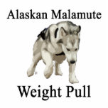 Alaskan Malamute Weight Pull Acrylic Cut Out