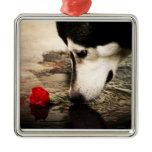 Alaskan Malamute with Red Rose Premium Ornament