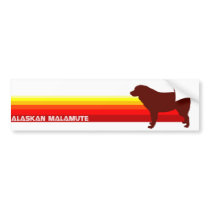 Alaskan Malamute With Stripes Bumper Sticker bumper stickers