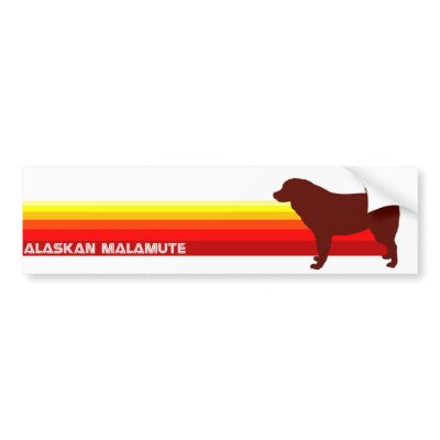 Alaskan Malamute With Stripes Bumper Sticker by dogsilhouettes
