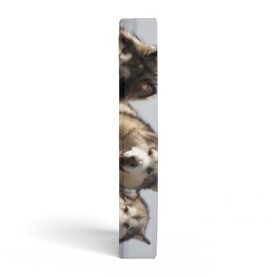 Alaskan Malamutes Vinyl Binder by ccrcats