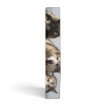 Alaskan Malamutes binders
