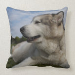Alaskan Malamutes cushions pillows pillows