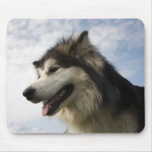 Alaskan Malamutes Mouse Pad