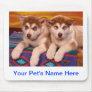 Alaskan Malamutes Mouse Pads