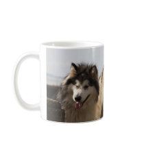 Alaskan Malamutes Coffee Mug