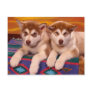 Alaskan Malamutes Post Cards