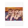 Alaskan Malamutes Post Cards