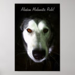 Alaskan Malamutes Rule Poster