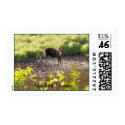 Alaskan Moose postage