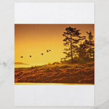 Alaskan Morning Flyer Design