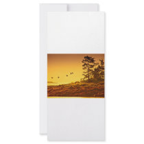 Alaskan Morning rack cards by Boehm_graphics Alaskan Morning rack cards
