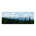 Alaskan Mountain Range Panoramic Print