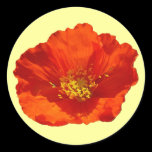 Alaskan Red Poppy Customizable Color Sticker