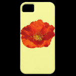 Alaskan Red Poppy iPhone 5 Case