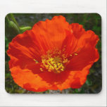 Alaskan Red Poppy Mousepad