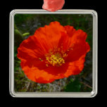 Alaskan Red Poppy Ornament