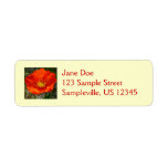 Alaskan Red Poppy Return Address Label