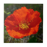 Alaskan Red Poppy Tile