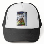 Alaskan Salmon Buffet Mesh Hat