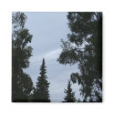 Alaskan sky magnets