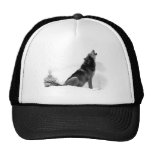 Alaskan Timber Wolf Hat