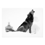 Alaskan Timber Wolf Invitation