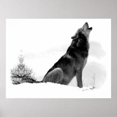 Alaskan Timber Wolf Poster by remicallens