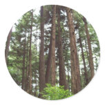 Alaskan Trees Sticker