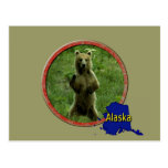 Alaskan Wildlife Post Cards