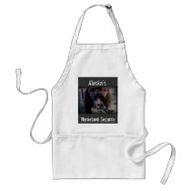 Alaska's Homeland Security Aprons