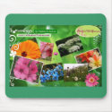 Alaska's Wildflowers Mouse Pad mousepad