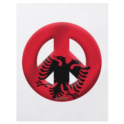Albania Full Color Flyer by meyoto