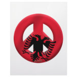 Albania Letterhead Design
