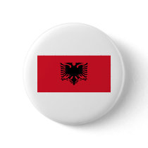 ALBANIA PINS