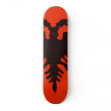 Albania skateboards
